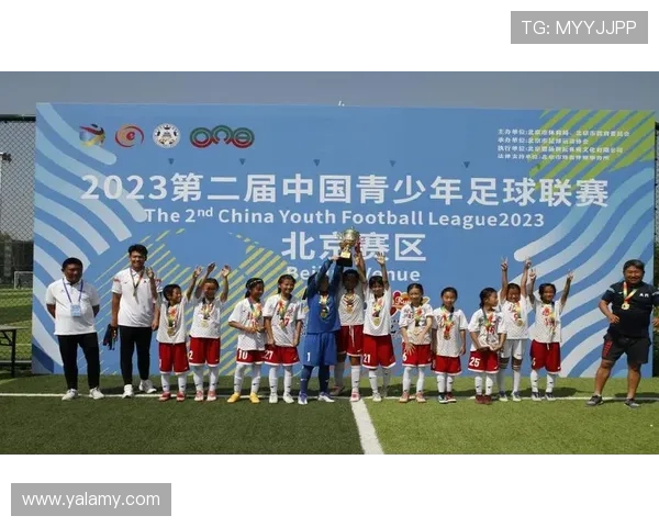 全国锦标赛回顾:北京足球队意识表现的深度分析与启示 全国锦标赛回顾:北京足球队意识表现的深度分析与启示