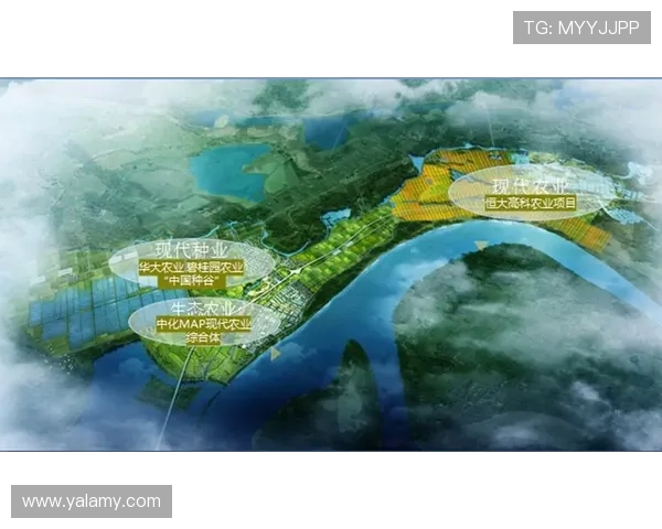 武汉篮球队的转型之路：从传统模式到现代竞技的全面革新探索