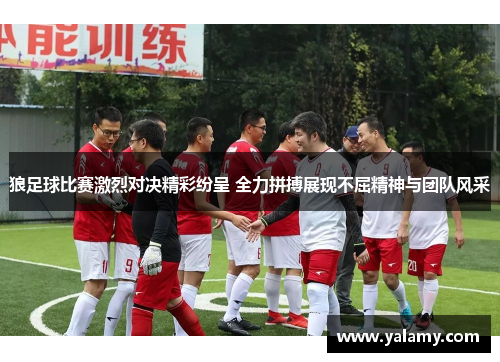 狼足球比赛激烈对决精彩纷呈 全力拼搏展现不屈精神与团队风采