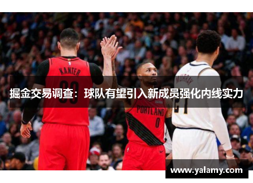 掘金交易调查：球队有望引入新成员强化内线实力
