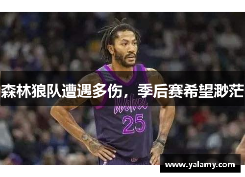 森林狼队遭遇多伤，季后赛希望渺茫